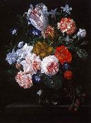 Nicolaes Van Verendael A Tulip, Carnations and Morning Glory in a Glass Vase oil painting on canvas